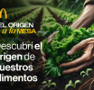 McDonald’s Argentina lanza “Del Origen a la Mesa”: un viaje interactivo para descubrir la calidad y trazabilidad de sus ingredientes locales.