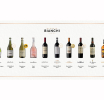 ¡Bodegas Bianchi celebra 97 vendimias con un despliegue enológico sin precedentes! Nuevos íconos, innovaciones de alta gama y un sorprendente whisky irlandés