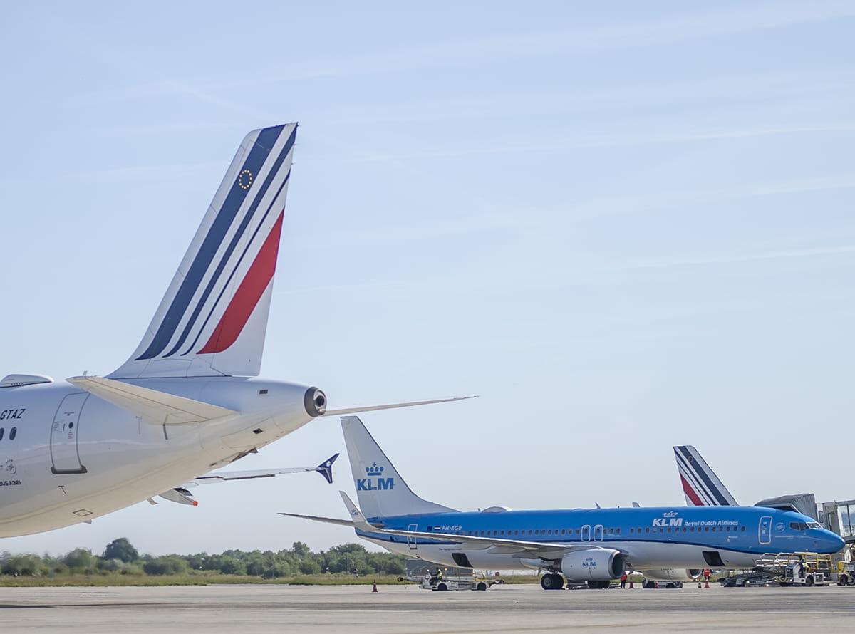 Viajeros frecuentes: Flying Blue lanza un plan de suscripción anual para acelerar la acumulación de millas y acceder a beneficios exclusivos