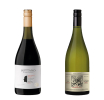 El Despertar del Terroir: Dos Expresiones de Sauvignon Blanc para Celebrar su Día