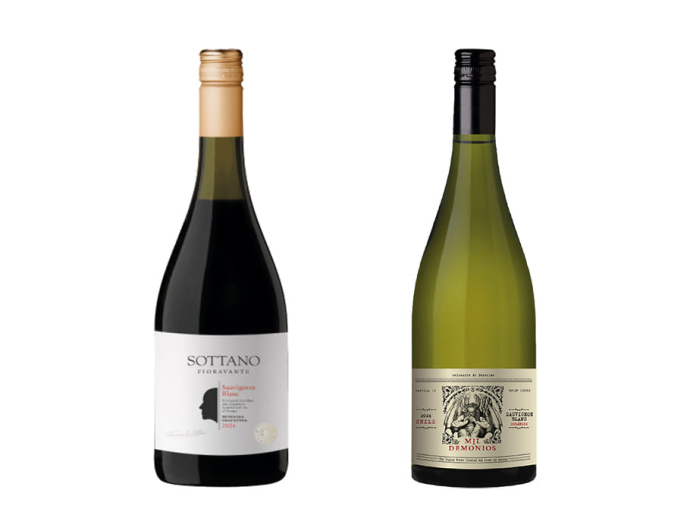El Despertar del Terroir: Dos Expresiones de Sauvignon Blanc para Celebrar su Día